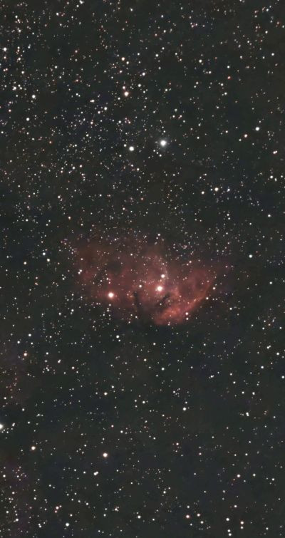 SH2-101 – Туманность Тюльпан