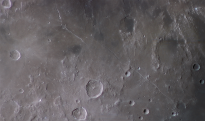 Борозды Гигин и Аридея в цвете