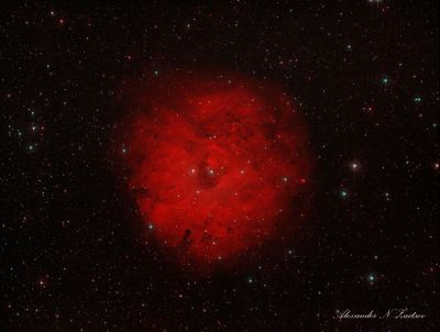 Sh2-170 (The Little Rosette Nebula) in HOO palette. New image revision.