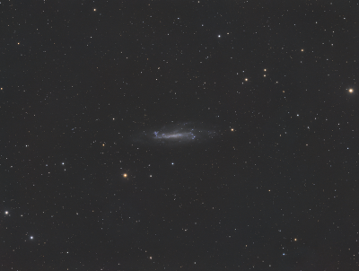 NGC4236  в Драконе