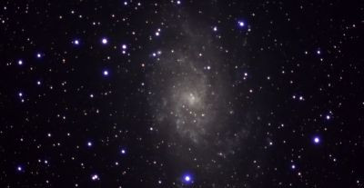 M33