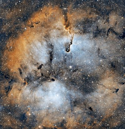 IC1396 Хобот слона