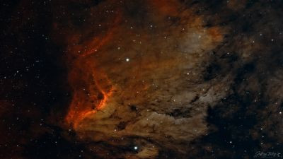 Pelican Nebula