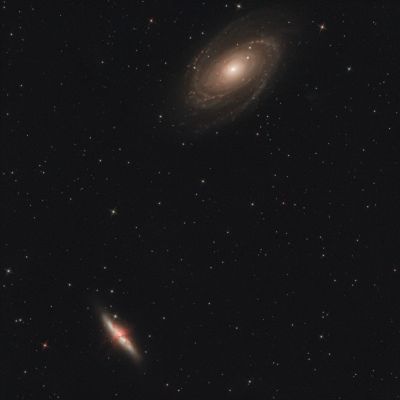 M81