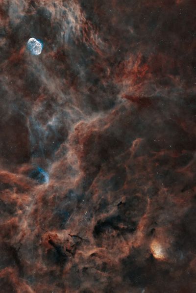 Между Тюльпаном и Полумесяцем...