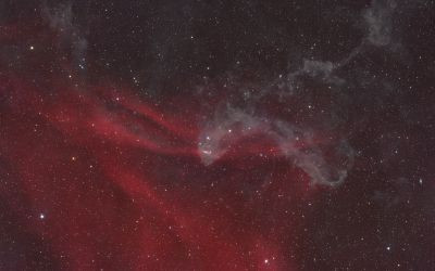 LBN 437 Gecko Nebula - Astrophotography