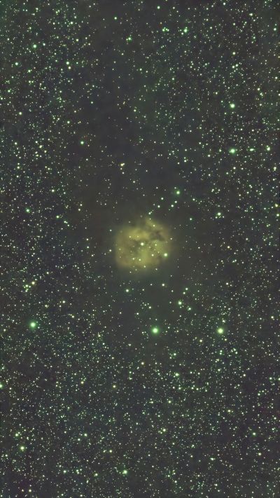 M1, NGC 1952 - Crab Nebula