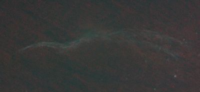 Ведьмина метла