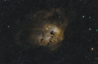 Головастики NGC 1893
