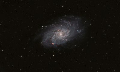 M33