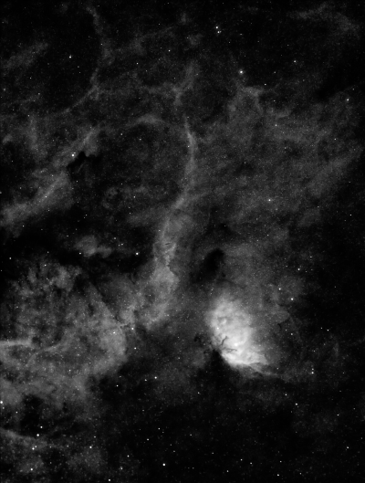 SH2-101 (туманность Тюльпан) в Лебеде