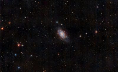 NGC 2403 - Caldwell 7 - Chuck Novice