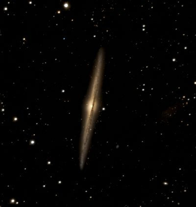 NGC 4565