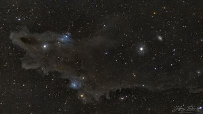 LDN 1235 - Shark Nebula