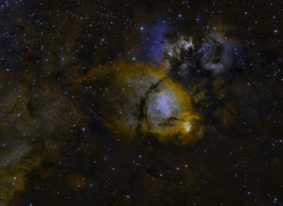 IC 1795 (Fish Head nebula) - SHO - Astrophotography