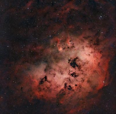IC410 Tadpoles, Cat, Demon Dog... - Astrophotography