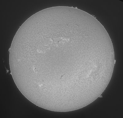 Солнце 16.06.2022 ч/б - астрофотография