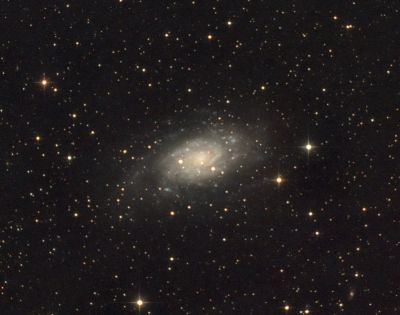 NGC 2403
