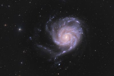 M101