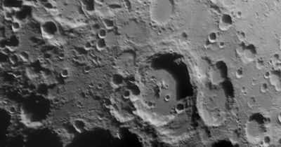 Мавролик 220606