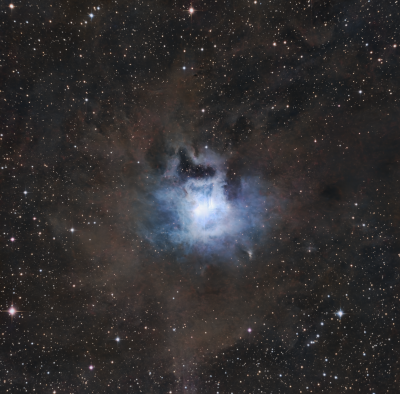NGC7023 - Iris Nebula