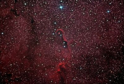 IC 410 - Tadpoles Nebula