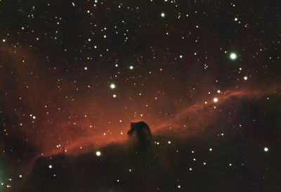 Конская голова