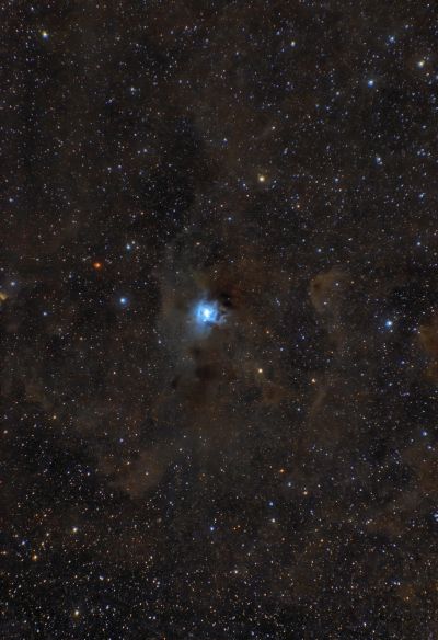 NGC 7023 Iris Nebula