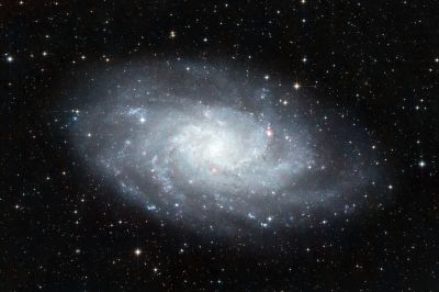 M33
