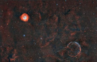 Garlic and a small rosette - Astrophotography