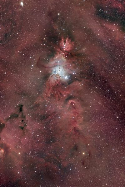 NGC 2264 - Astrophotography