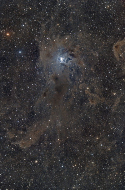 Caldwell 4 - NGC 7023 - Ирис - Astrophotography