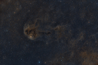 LDN1251 Rotten Fish Nebula
