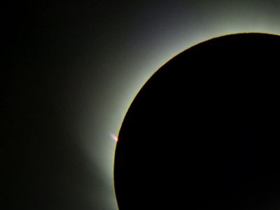 Протуберанец