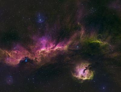 IC2177 - Seagull nebula (HSO)