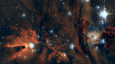 NGC 2264. Christmas tree nebula - Astrophotography
