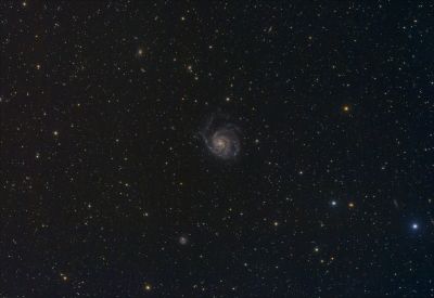 Галактика М 101 вертушка и её окрестности