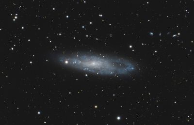 NGC247 Галактика Игольное ушко и Цепочка Бербиджа (справа)