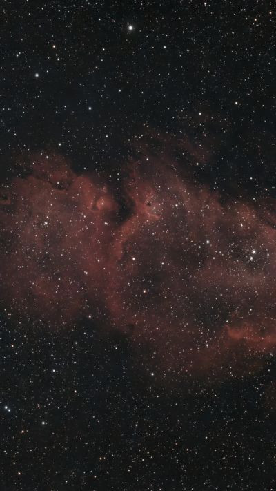 IC 1848 (partial)