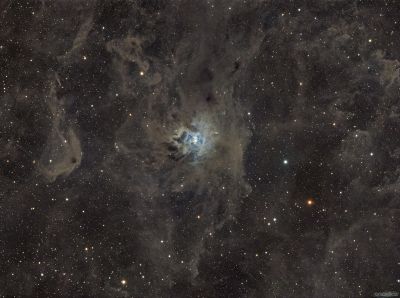 NGC 7023 "Ирис"