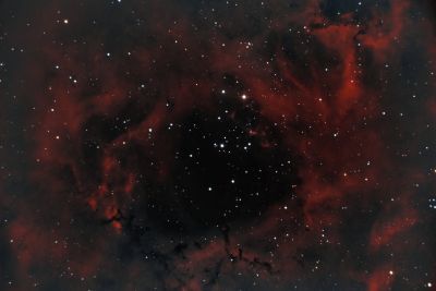  NGC 2237 - Rosette Nebula - астрофотография
