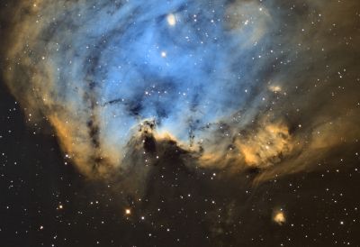 Monkey Nebula (active area)  SHO