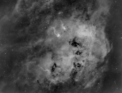 Головастки IC410