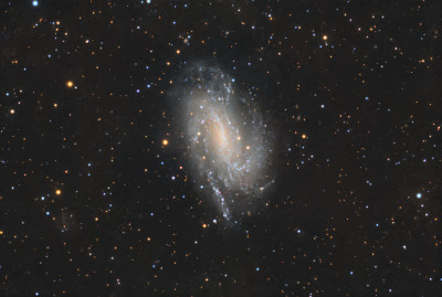 NGC925