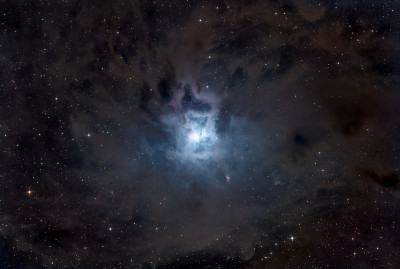 NGC 7023 - Iris Nebula (туманность Ирис)