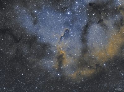IC1396, Elephant's trunk nebula