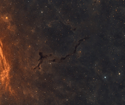 LDN1082 Seahorse Nebula
