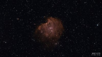 Туманность Голова Обезьяны (NGC 2175)