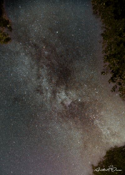 The Milky Way