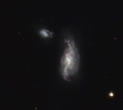 Ngc4490 galaxie du cocon - Astrophotography